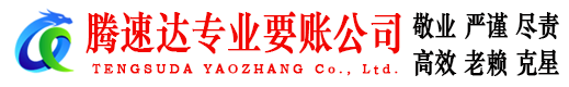 肥西腾速达收账公司